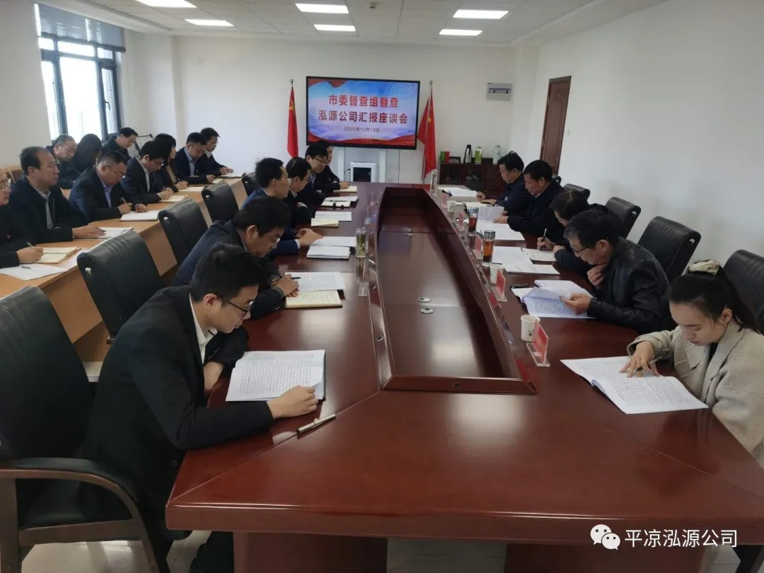 市委辦公室、市政府國資委督查泓源公司工作(圖4)